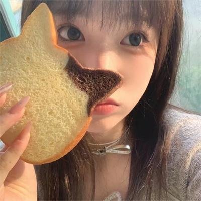 功夫兔与菜包狗第一季